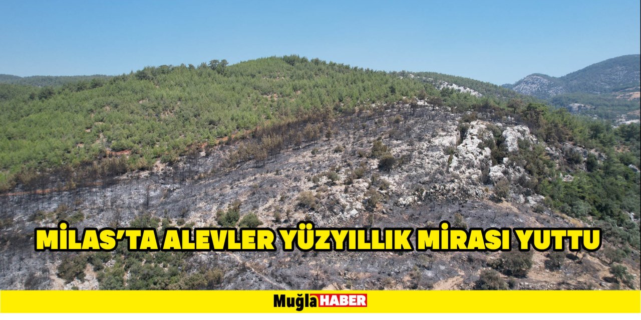 MİLAS’TA ALEVLER YÜZYILLIK MİRASI YUTTU