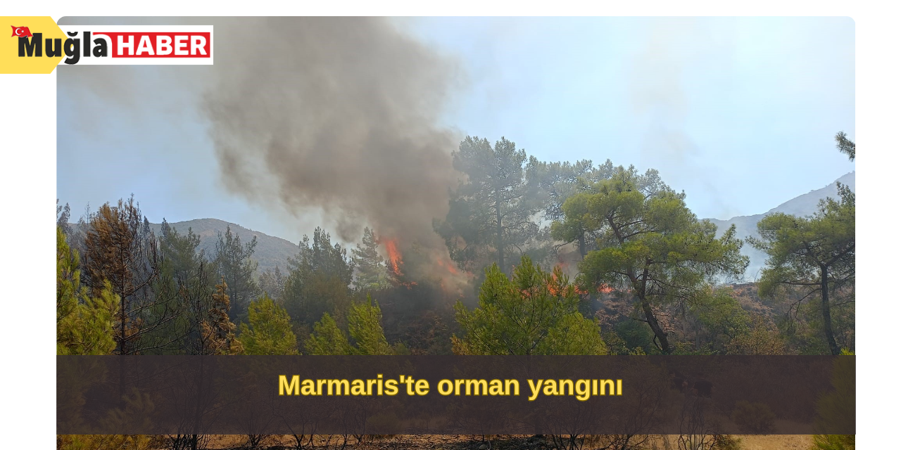 Marmaris'te orman yangını