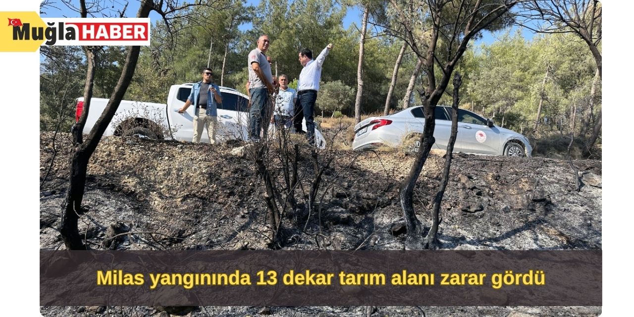 Milas yangınında 13 dekar tarım alanı zarar gördü