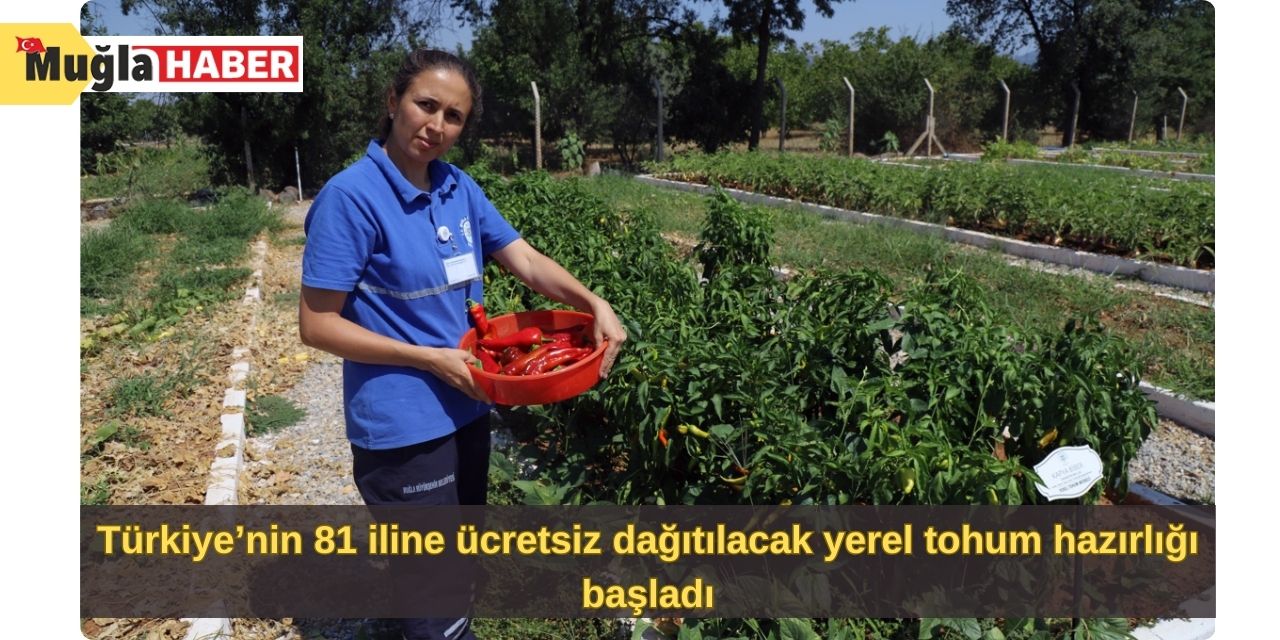 Türkiye’nin 81 iline ücretsiz dağıtılacak yerel tohum hazırlığı başladı