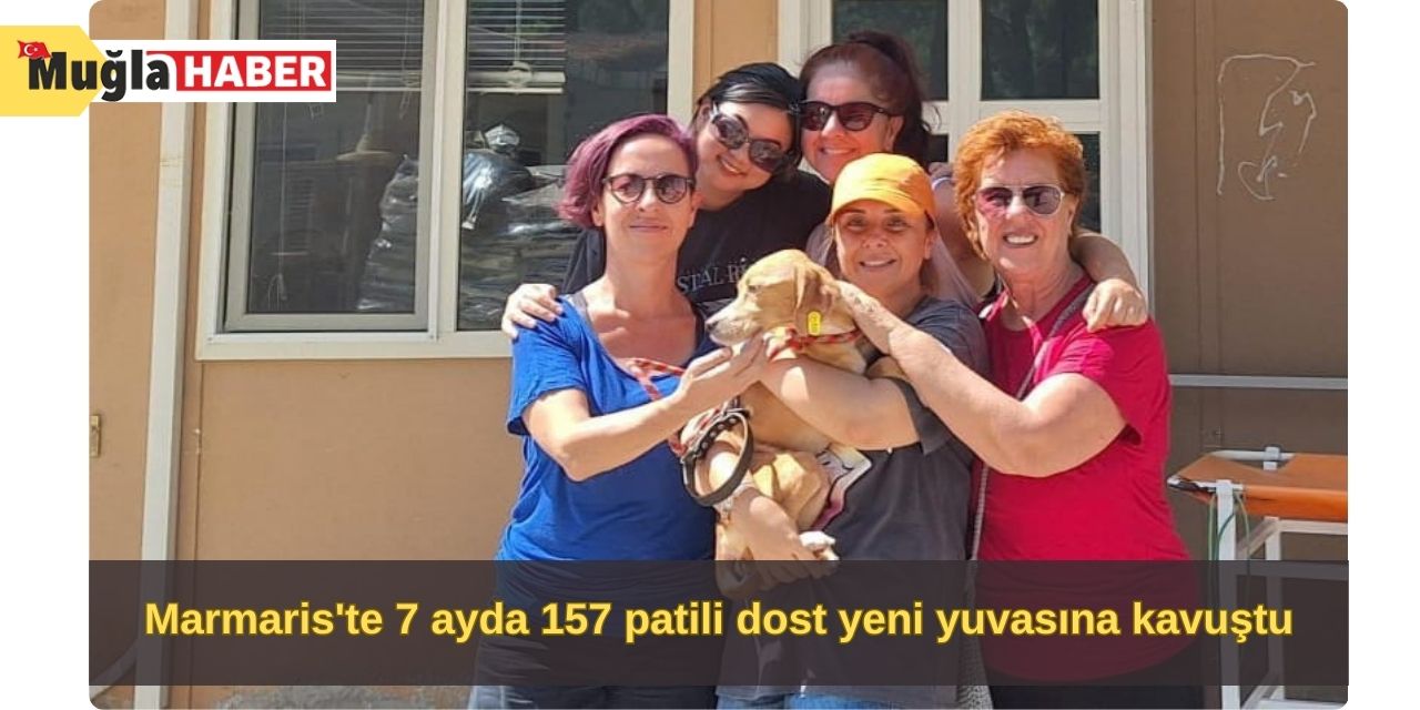 Marmaris'te 7 ayda 157 patili dost yeni yuvasına kavuştu