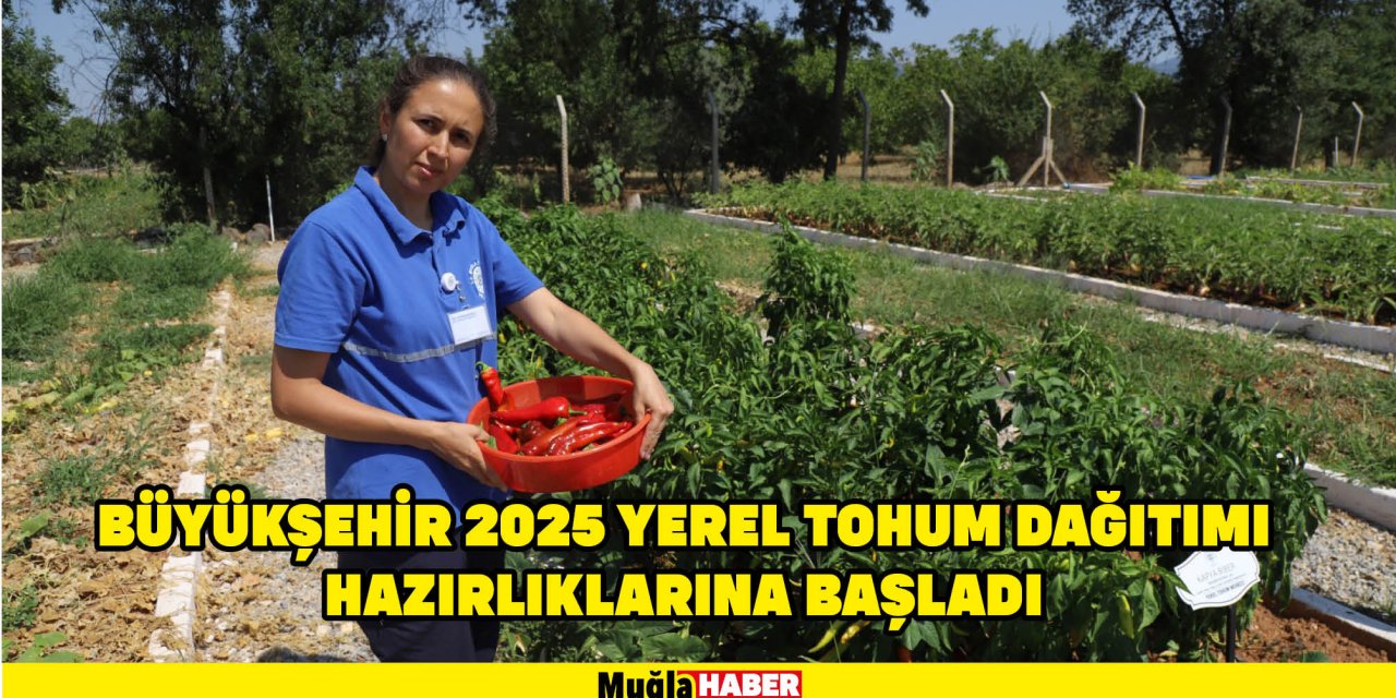 Büyükşehir 2025 Yerel Tohum Dağıtımı Hazırlıklarına Başladı