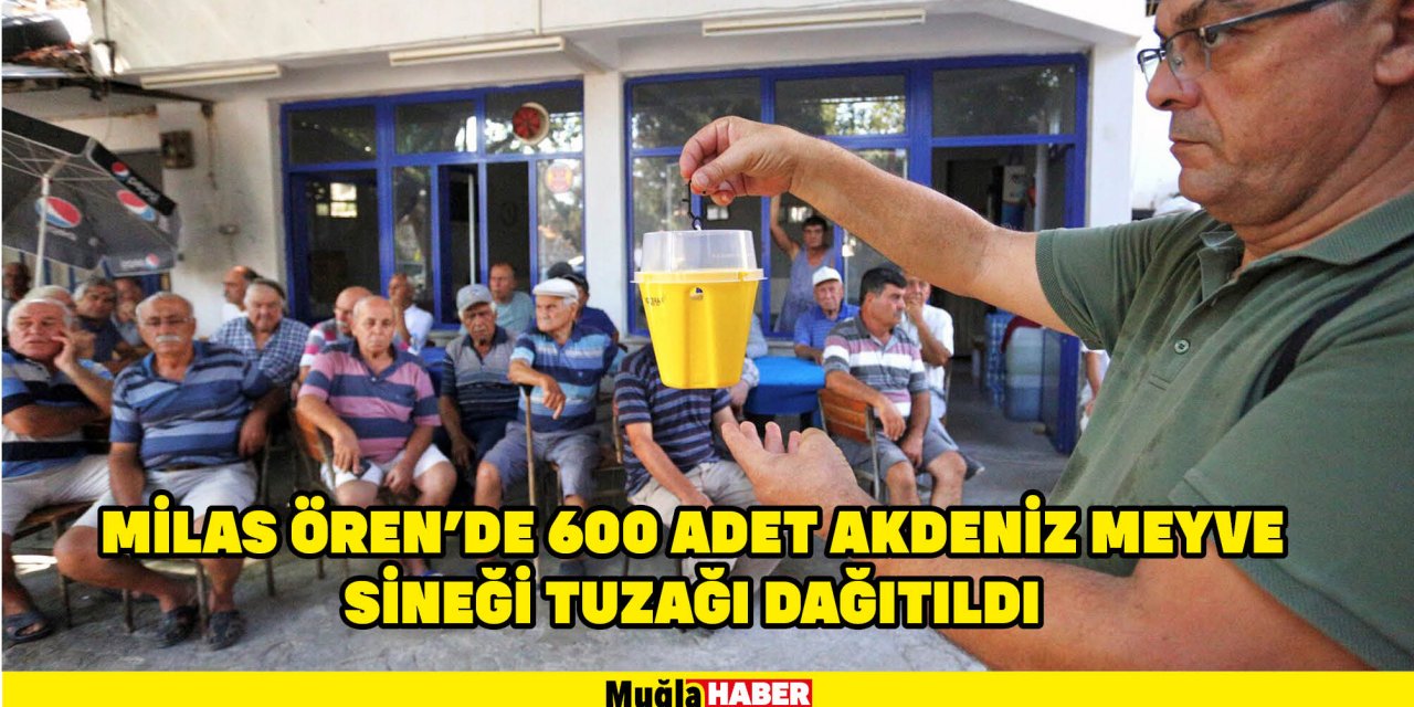 Milas Ören’de 600 adet Akdeniz Meyve Sineği tuzağı dağıtıldı