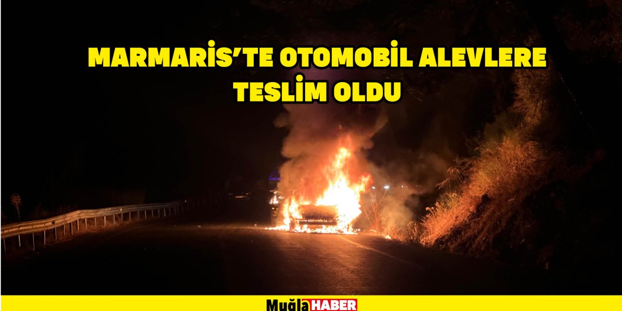 Marmaris’te otomobil alevlere teslim oldu