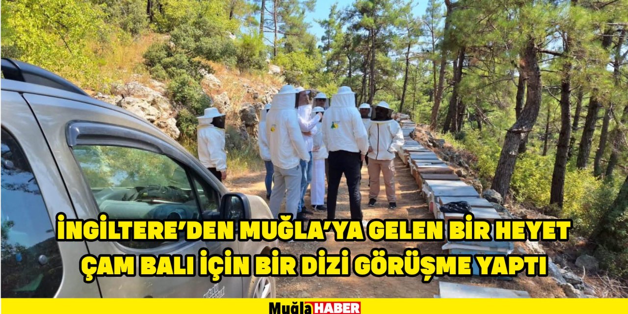 İNGİLTERE'DEN MUĞLA'YA GELEN BİR HEYET ÇAM BALI İÇİN BİR DİZİ GÖRÜŞME YAPTI