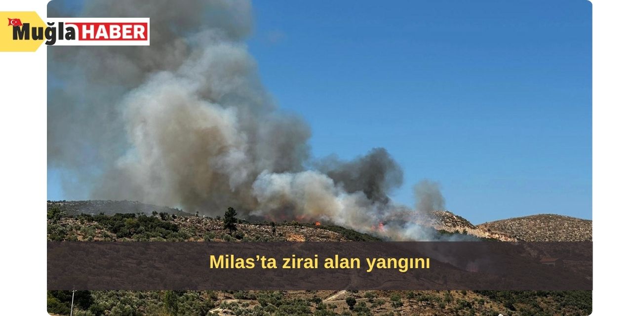 Milas’ta zirai alan yangını