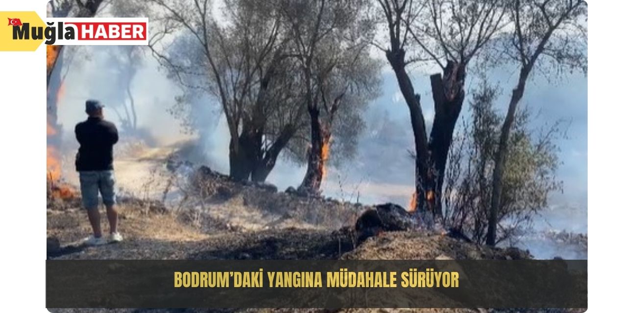 Bodrum’daki yangına müdahale sürüyor