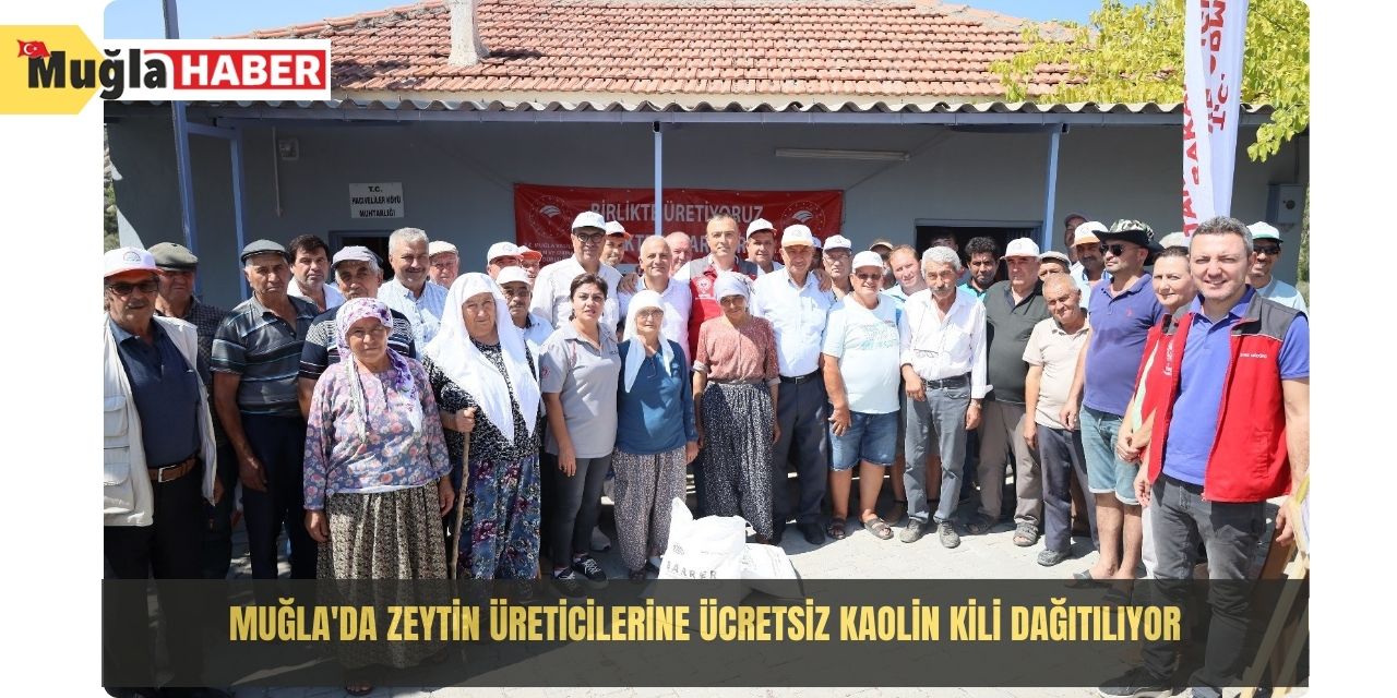 Muğla'da zeytin üreticilerine ücretsiz kaolin kili dağıtılıyor