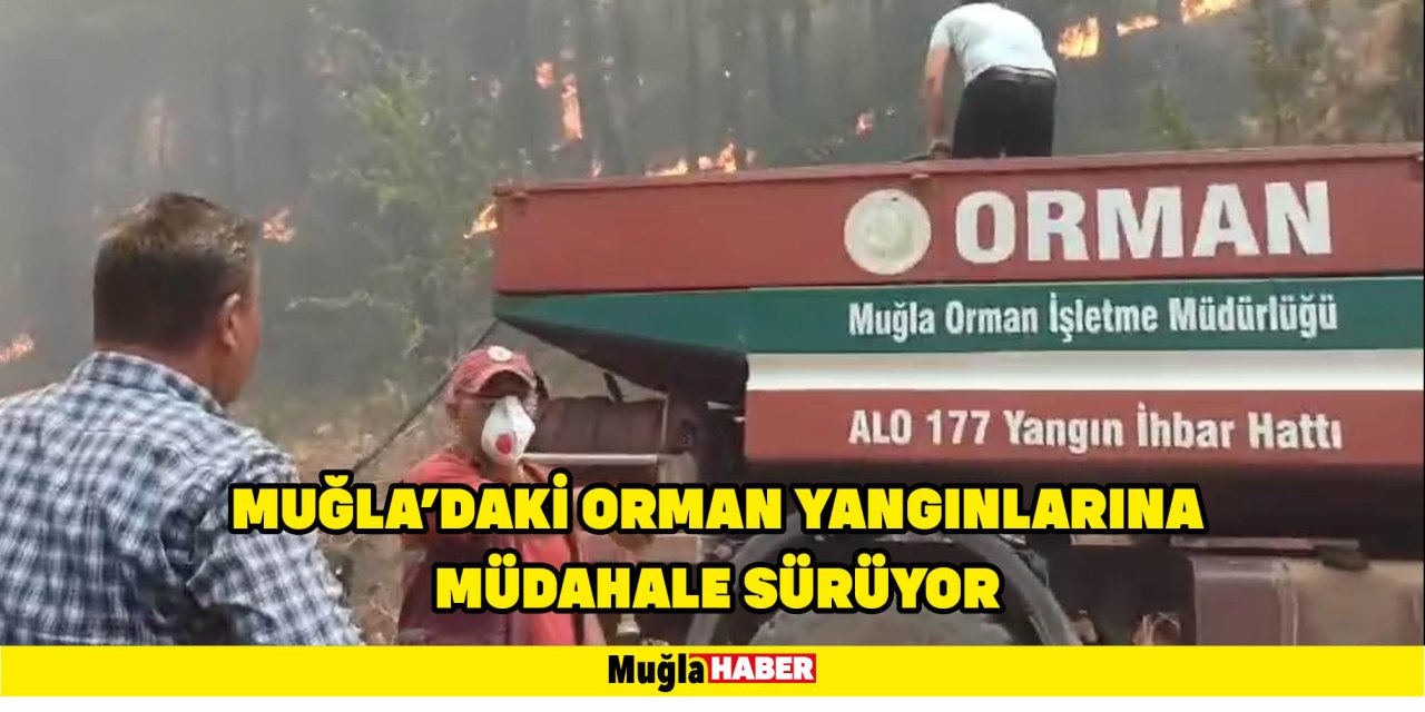 Muğla'daki orman yangınlarına müdahale sürüyor