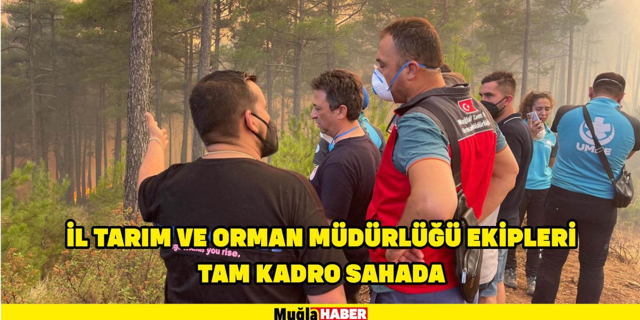 İl Tarım ve Orman Müdürlüğü ekipleri tam kadro sahada