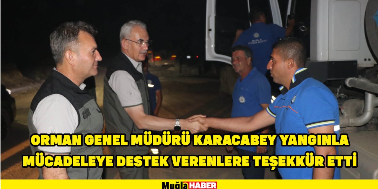 ORMAN GENEL MÜDÜRÜ KARACABEY YANGINLA MÜCADELEYE DESTEK VERENLERE TEŞEKKÜR ETTİ