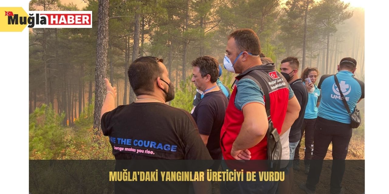 Muğla'daki yangınlar üreticiyi de vurdu