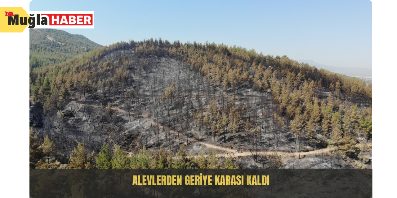 Alevlerden geriye karası kaldı