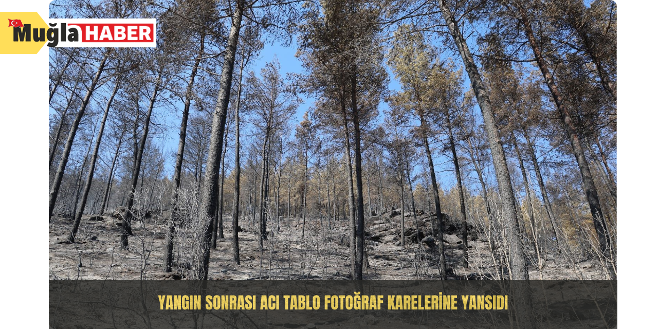 Yangın sonrası acı tablo fotoğraf karelerine yansıdı