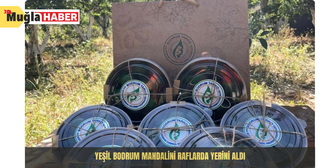 Yeşil Bodrum Mandalini raflarda yerini aldı