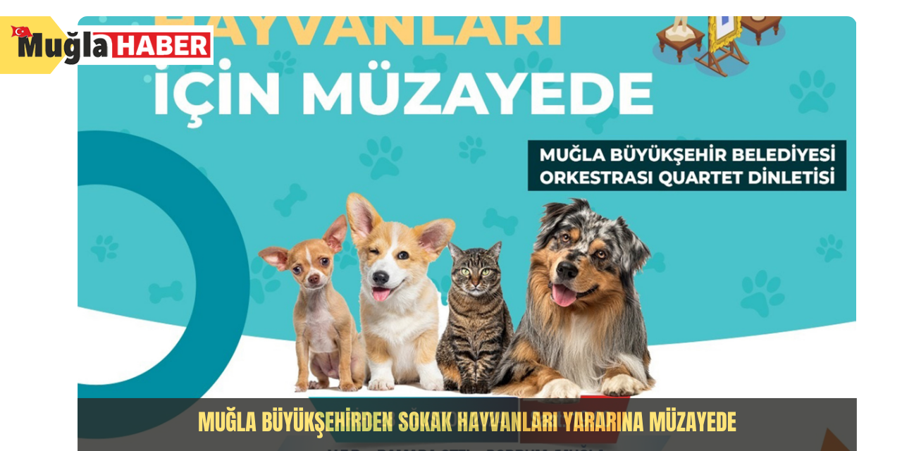 Muğla Büyükşehirden sokak hayvanları yararına müzayede