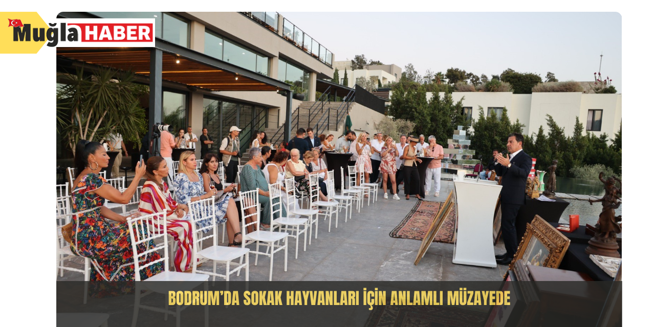 Bodrum’da sokak hayvanları için anlamlı müzayede