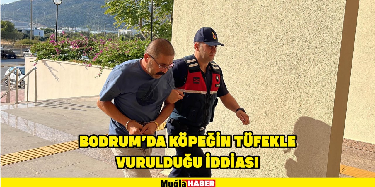 BODRUM'DA KÖPEĞİN TÜFEKLE VURULDUĞU İDDİASI