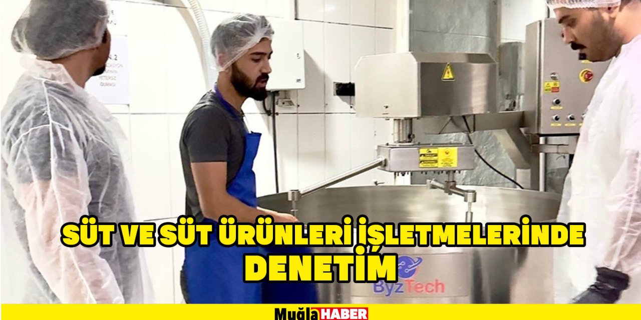 Süt ve süt ürünleri işletmelerinde denetim