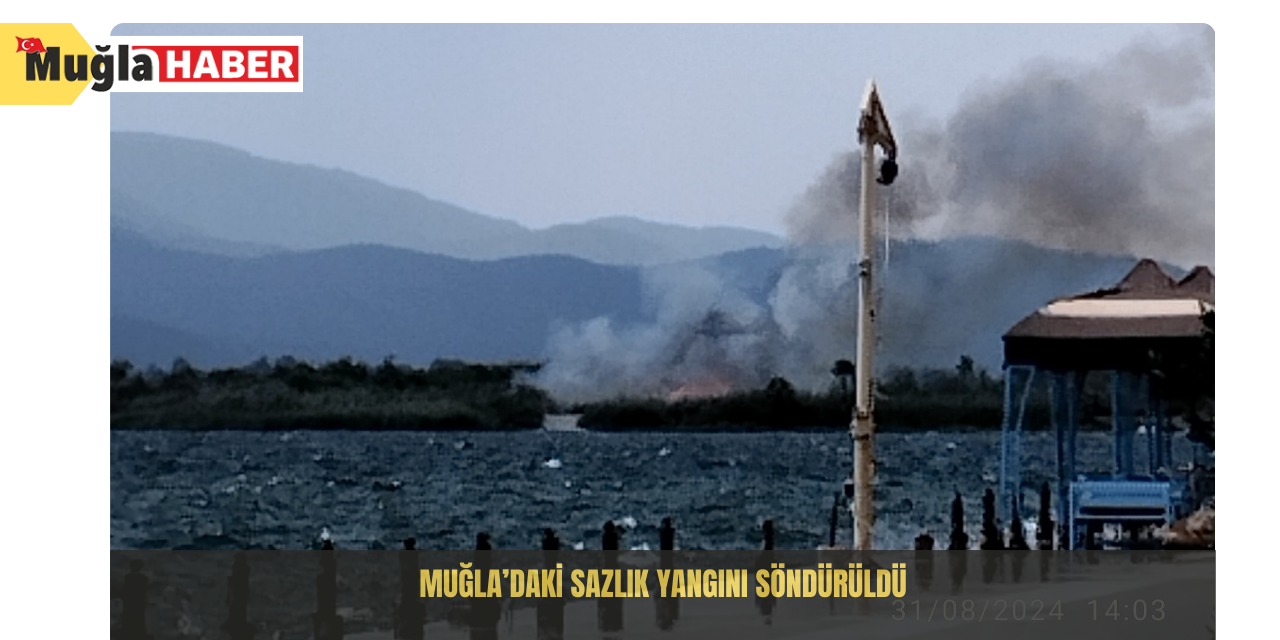 Muğla’daki sazlık yangını söndürüldü