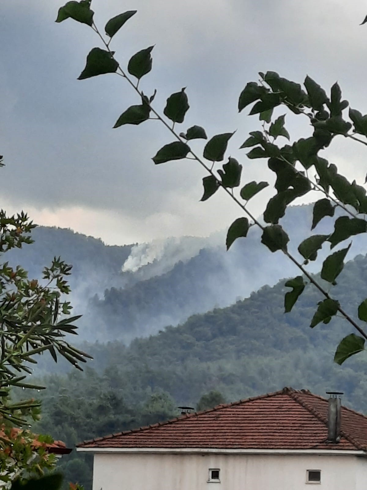 Muğla'da yıldırım kaynaklı orman yangınları söndürüldü