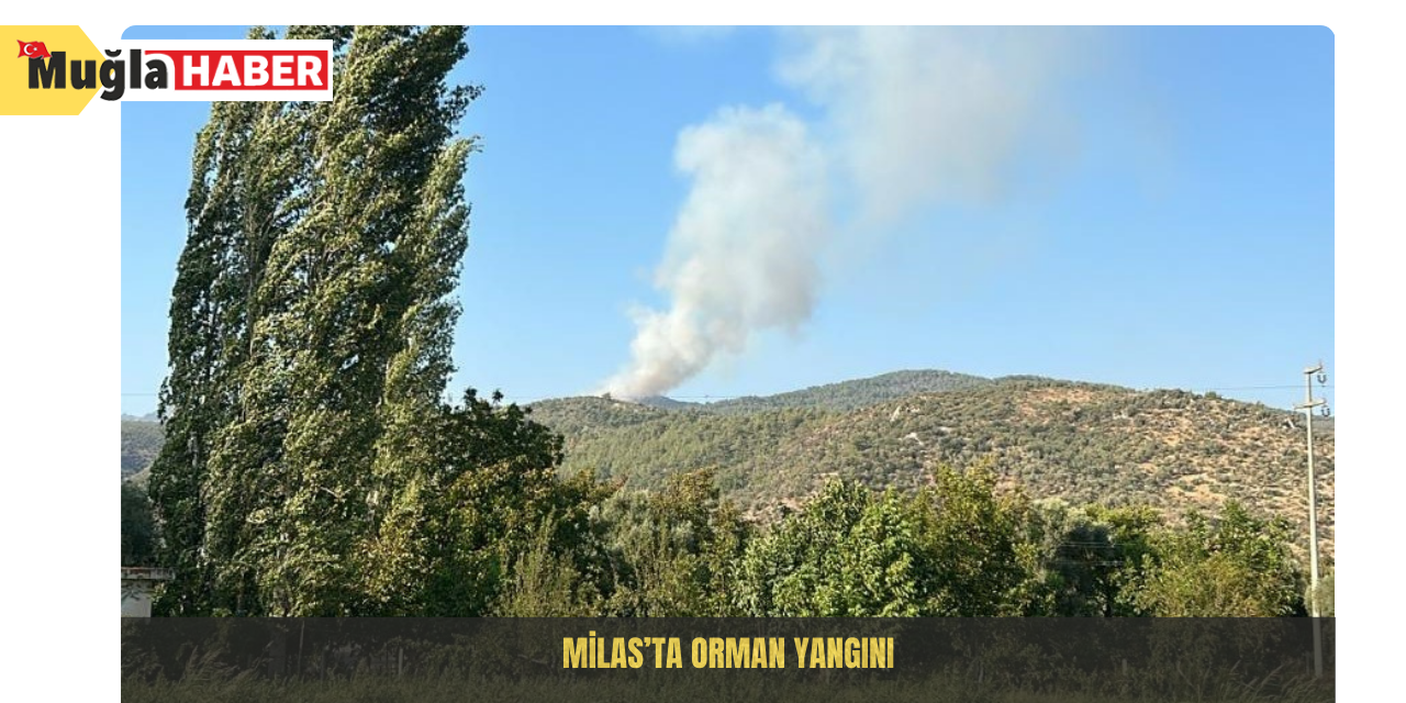 Milas’ta orman yangını