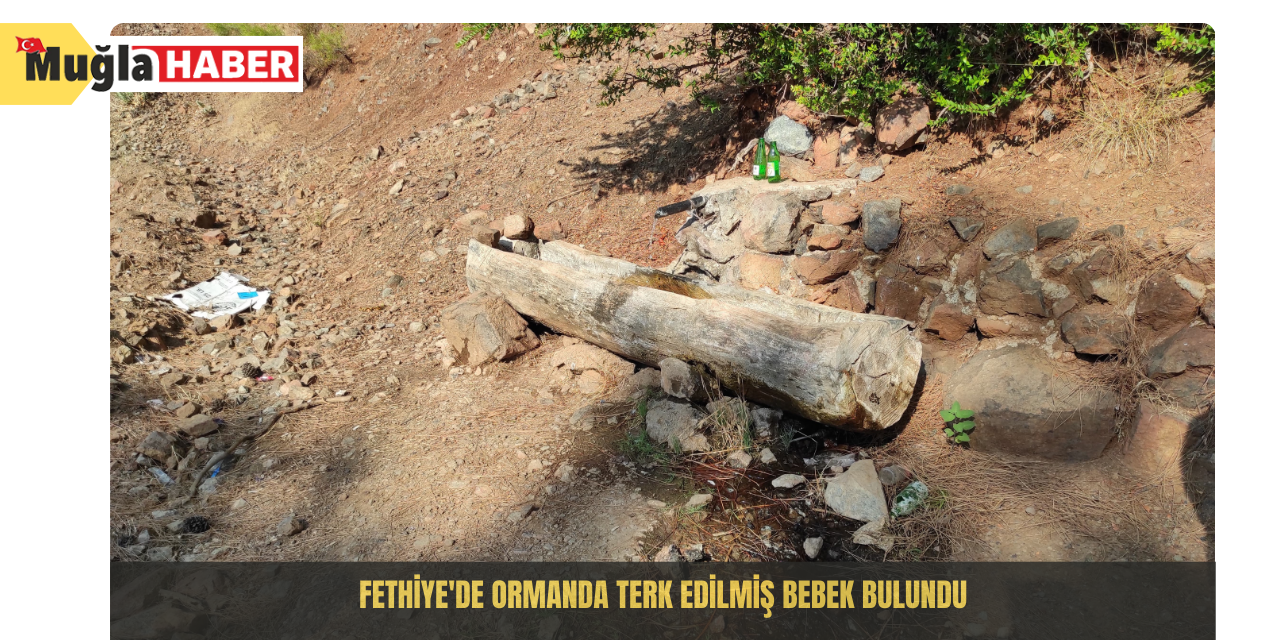 Fethiye'de ormanda terk edilmiş bebek bulundu