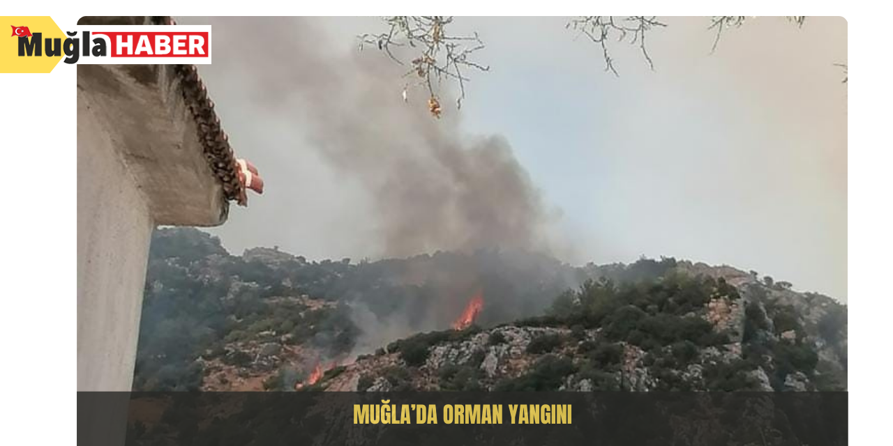 Muğla’da orman yangını