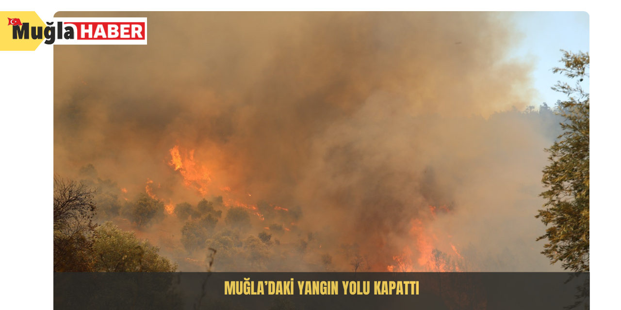 Muğla’daki yangın yolu kapattı