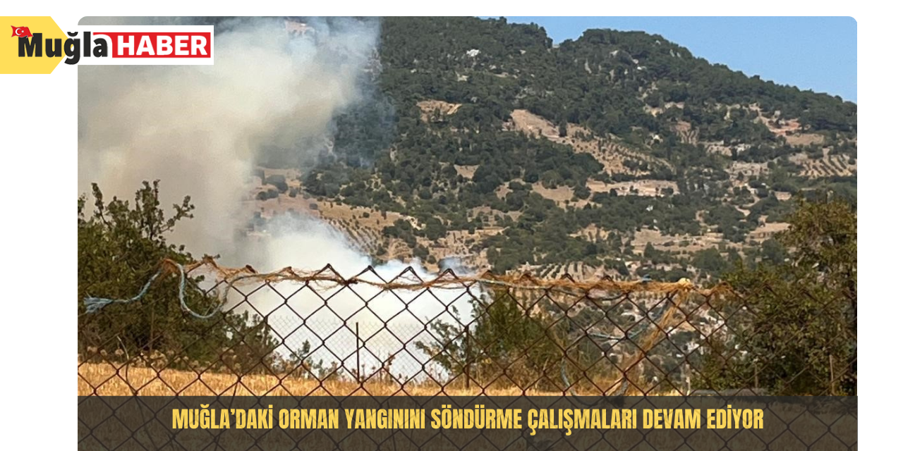 Muğla’daki orman yangınını söndürme çalışmaları devam ediyor