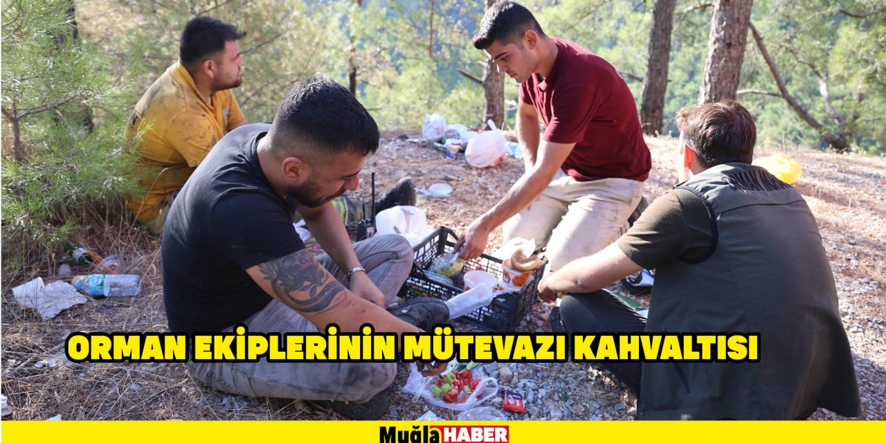 Orman ekiplerinin mütevazı kahvaltısı