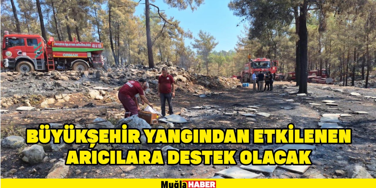 BÜYÜKŞEHİR YANGINDAN ETKİLENEN ARICILARA DESTEK OLACAK