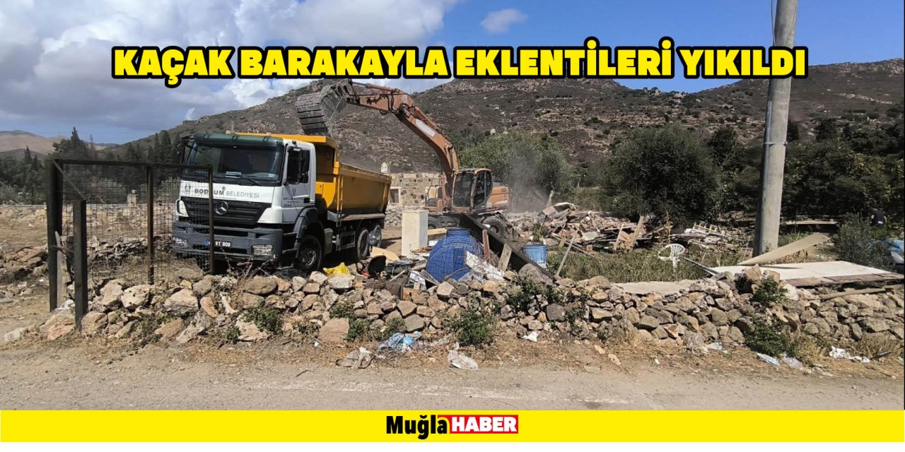 Kaçak barakayla eklentileri yıkıldı