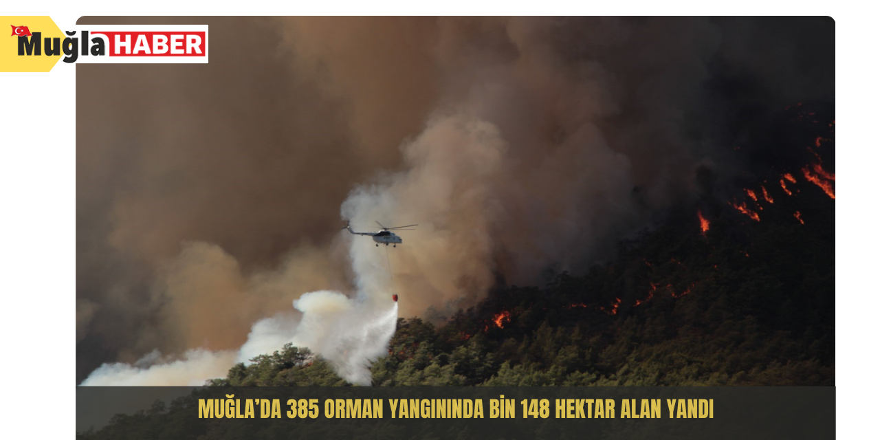 Muğla’da 385 orman yangınında bin 148 hektar alan yandı