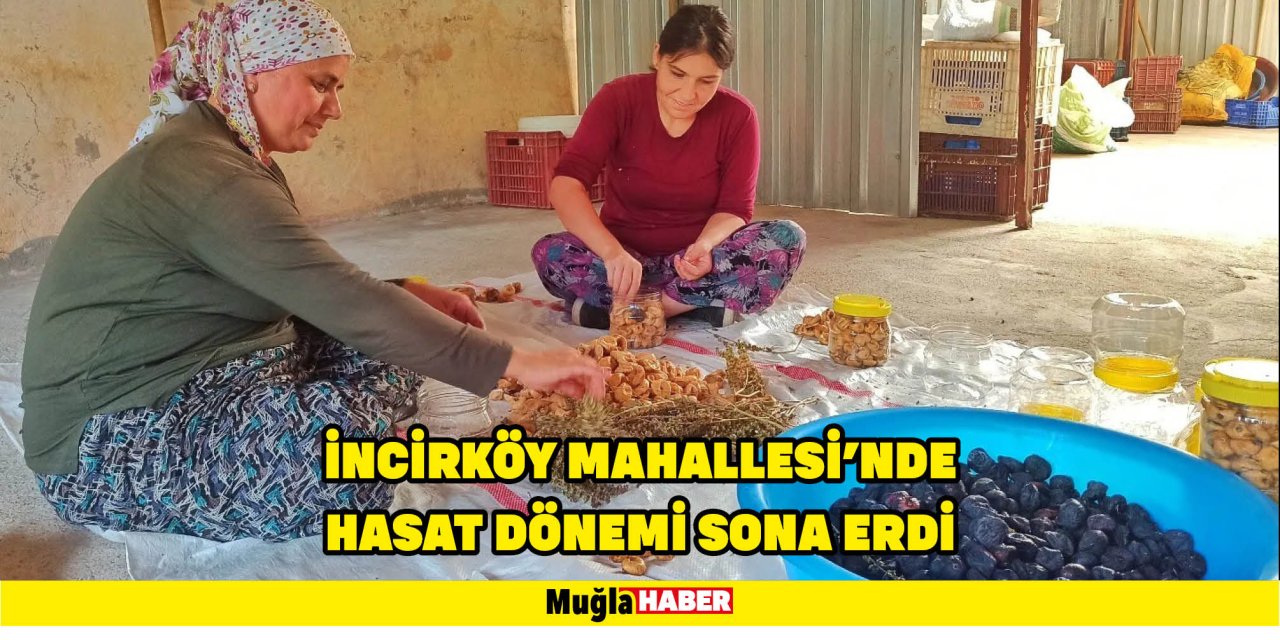 İNCİRKÖY MAHALLESİ’NDE HASAT DÖNEMİ SONA ERDİ