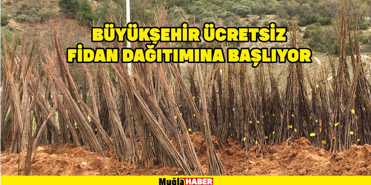 BÜYÜKŞEHİR ÜCRETSİZ FİDAN DAĞITIMINA BAŞLIYOR