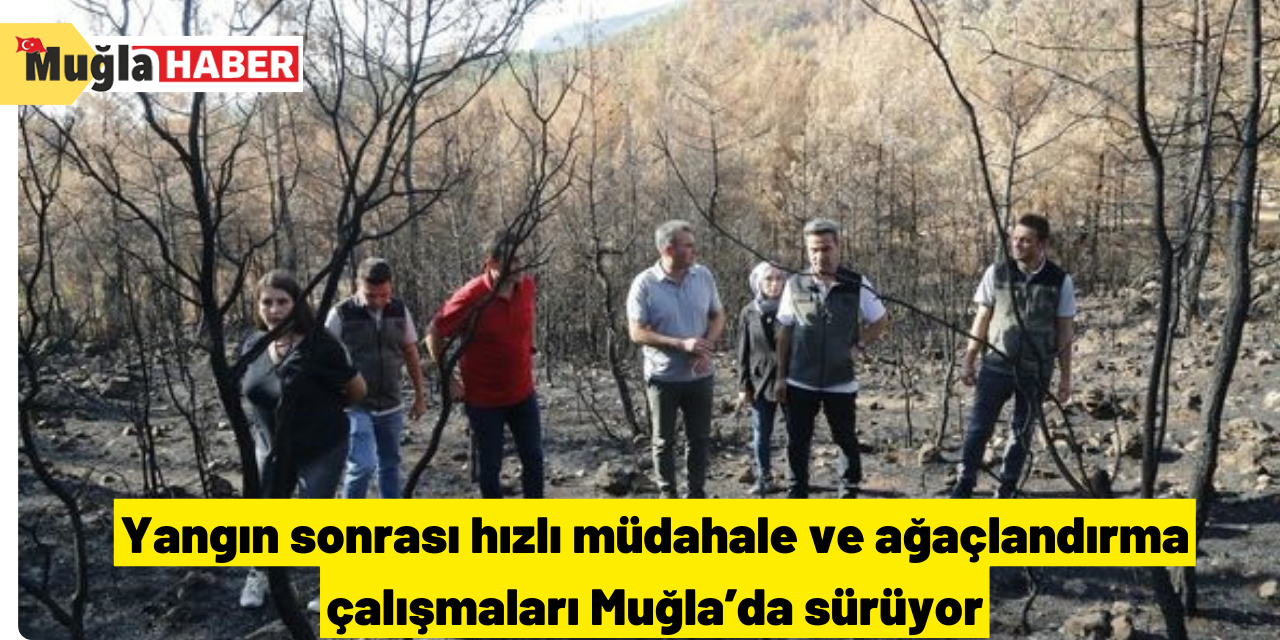 Yangın sonrası hızlı müdahale ve ağaçlandırma çalışmaları Muğla’da sürüyor