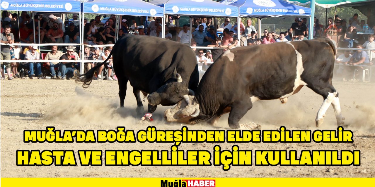 Muğla'da boğa güreşinden elde edilen gelir hasta ve engelliler için kullanıldı