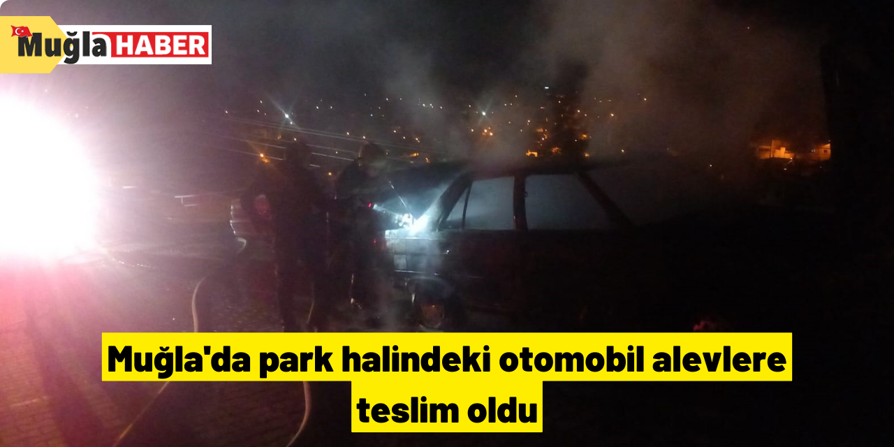 Muğla'da park halindeki otomobil alevlere teslim oldu