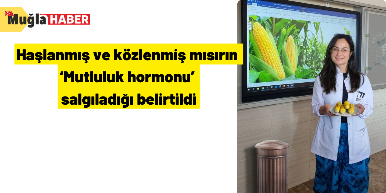 Haşlanmış ve közlenmiş mısırın ‘Mutluluk hormonu’ salgıladığı belirtildi