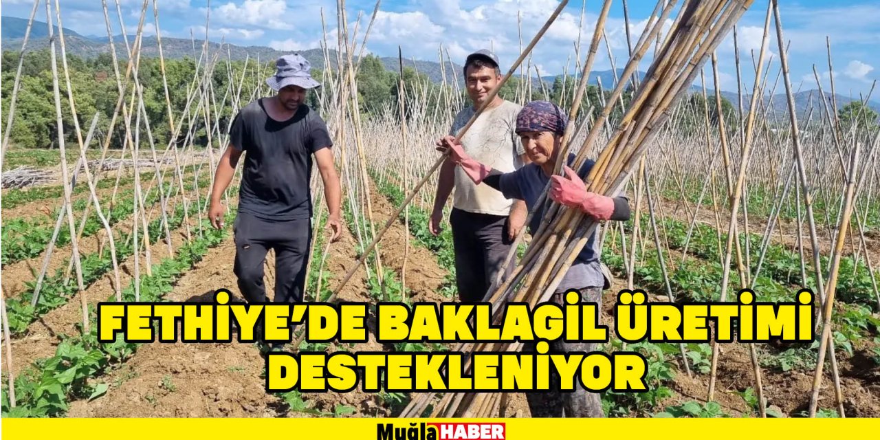 FETHİYE’DE BAKLAGİL ÜRETİMİ DESTEKLENİYOR