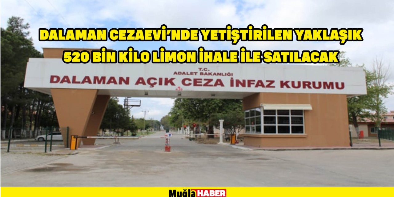 DALAMAN CEZAEVİ’NDE YETİŞTİRİLEN YAKLAŞIK 520 BİN KİLO LİMON İHALE İLE SATILACAK