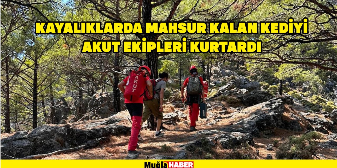 Kayalıklarda mahsur kalan kediyi AKUT ekipleri kurtardı