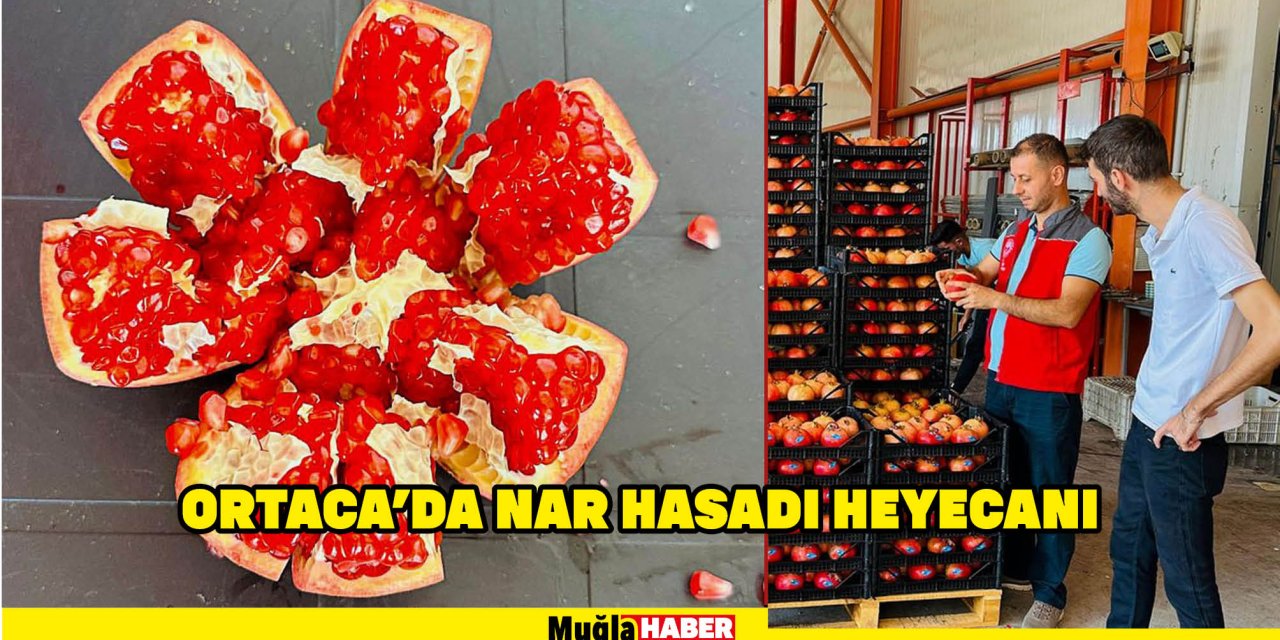 ORTACA'DA NAR HASADI HEYECANI