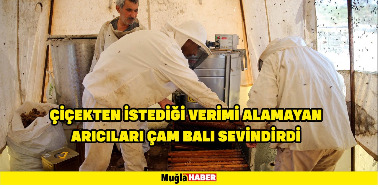 ÇİÇEKTEN İSTEDİĞİ VERİMİ ALAMAYAN ARICILARI ÇAM BALI SEVİNDİRDİ