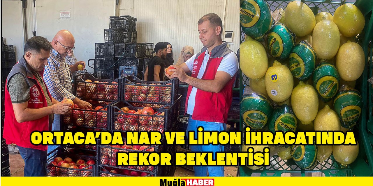 Ortaca'da nar ve limon ihracatında rekor beklentisi