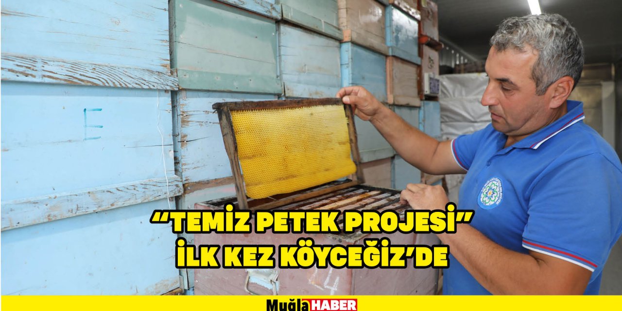 “TEMİZ PETEK PROJESİ” İLK KEZ KÖYCEĞİZ’DE