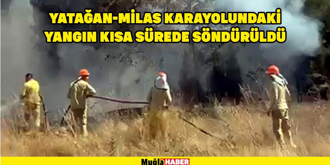 YATAĞAN-MİLAS KARAYOLUNDAKİ YANGIN KISA SÜREDE SÖNDÜRÜLDÜ