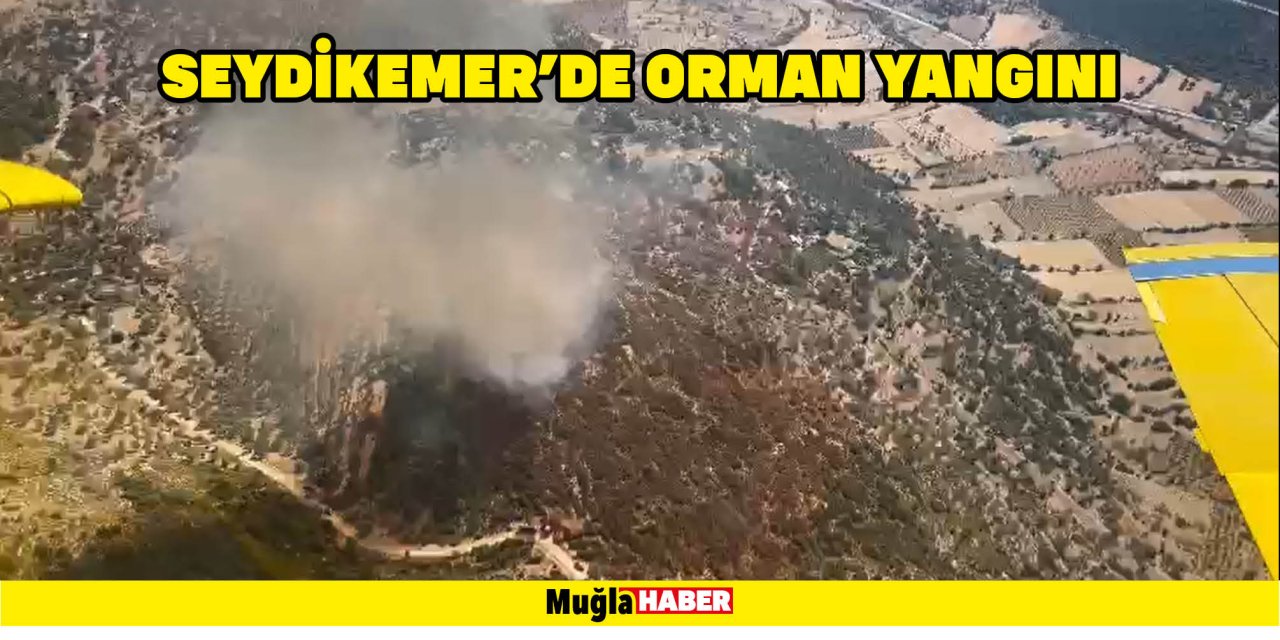 SEYDİKEMER'DE ORMAN YANGINI