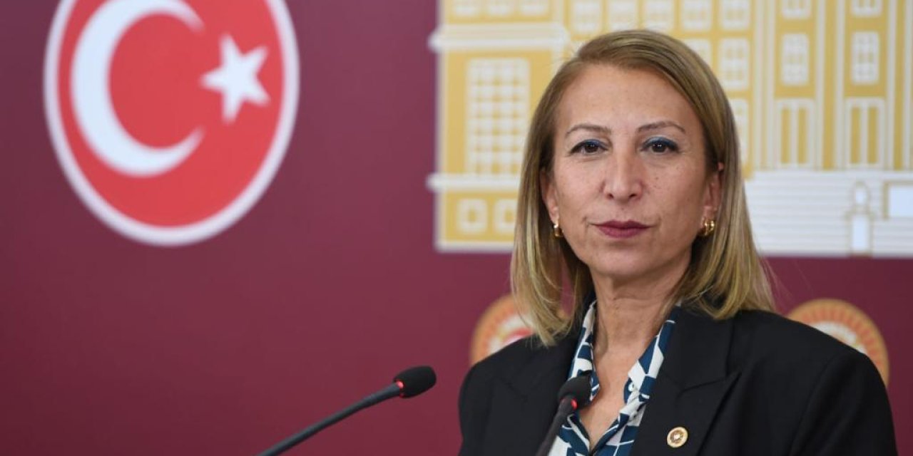 CHP Muğla Milletvekili Süreyya Öneş Derici:  “Ortadoğu’dan Yeni Bir Göç Dalgasına Hazır Mıyız?”